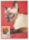 Maximum Card Rumania 1965 Cat - Other & Unclassified