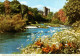 CPM- Ireland- Kilkenny Castle And River Nore * TBE*  Cf. Scans * - Sonstige & Ohne Zuordnung