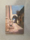 Rue Au Clair De Lune Carte Postale Postcard - Tunisie