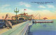 73976443 St_Petersburg_Florida_USA Recreation Pier Of The "Sunshine City" - Other & Unclassified