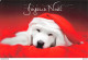 CHIEN LABRADOR - JOYEUX NOEL MEILLEURS VOEUX (en Braille)  CPM ♥♥♥ - Andere & Zonder Classificatie