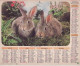 Calendrier France 1976 Devise Trembler Et Detaler Canards Lapins - Formato Grande : 1971-80