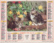 Calendrier France 1984 Jeune Chien Jeunes Chats - Grossformat : 1981-90