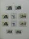 Delcampe - BRD Bund Bonn/Berlin Estt. Stempel Ab 1997 Im KA-BE "bi-collect" #LY755 - Collections