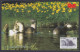 Inde India 2006 Mint Postcard Wildlife Of Rajasthan, Smooth Indian Otter, Wild Animal, Animals, Wild Life - India