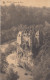 Delcampe - CHATEAU DE WALZIN - Dinant