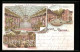 Lithographie Remse, Gaststsätte Colosseum Mit Garten Und Saal  - Other & Unclassified