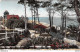 HOULGATE►14►CPSM►±1960►LA PLAGE VUE À TRAVERS LES PINS►ARTAUD - Houlgate