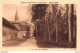 SEPT- FONS (03) CPA ± 1950  Abbaye De Notre Dame De Saint Lieu  Un Coin Du Bosquet  - Cliché  J.B.E. N°15 - Other & Unclassified