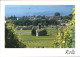 11691877 Rolle Vaud La Ville Depuis Les Vignobles Rolle - Other & Unclassified