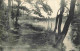 92 - Rueil Malmaison - Bois De St Cucufa - Effet Du Matin - Correspondance - CPA - Voyagée En 1917 - Voir Scans Recto-Ve - Rueil Malmaison