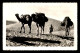 ALGERIE - SAHARA - GHARDAIA - DANS LES DUNES - CHAMEAUX - CHAMELIER - EDITIONS PHOTOS AFRICAINES N°1157 - Ghardaia