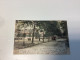 DRAGUIGNAN - Avenue De La Gare - CPA - CP - Carte Postale - Draguignan