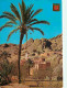 Maroc - Tafraout - Vue Générale - Carte Neuve - CPM - Voir Scans Recto-Verso - Other & Unclassified