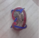 INSIGNE 9EME REGIMENT DE ZOUAVES ABPD - Hueste