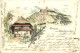 Gruss Aus Karlsruhe - Litho - Karlsruhe