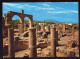 AK 211923 ALGERIA - Tigzirt - Roman Ruins - Autres & Non Classés