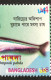 Delcampe - Bangladesh 2002 Commemorative FISH Ompook Pabda Color Shift Error - Bangladesh