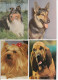 Delcampe - LOT DE 40 CARTES . - Chiens De Toutes Races - Chiens