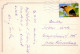 PERRO Animales Vintage Tarjeta Postal CPSM #PAN628.A - Honden