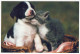 PERRO Animales Vintage Tarjeta Postal CPSM #PAN628.A - Honden