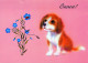 CANE Animale Vintage Cartolina CPSM #PAN635.IT - Honden