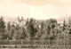 72632644 Gernrode Harz Blick Zur Kirche Gernrode Harz - Sonstige & Ohne Zuordnung