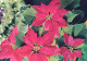 FLOWERS Vintage Ansichtskarte Postkarte CPSM #PAR810.DE - Flowers