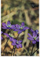 FLOWERS Vintage Ansichtskarte Postkarte CPSM #PAR390.DE - Blumen