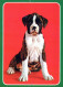 PERRO Animales Vintage Tarjeta Postal CPSM #PAN632.ES - Honden