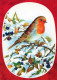 BIRD Animals Vintage Postcard CPSM #PAN066.GB - Birds