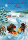 Bonne Année Noël GNOME Vintage Carte Postale CPSM #PBL712.FR - Nieuwjaar