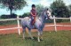 HORSE Animals Vintage Postcard CPA #PKE880.GB - Chevaux