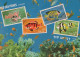 FISH Animals Vintage Postcard CPSM #PBS881.GB - Poissons Et Crustacés