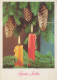 Happy New Year Christmas CANDLE Vintage Postcard CPSM #PAZ306.GB - New Year