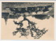 Briefkaart G. 240 T Kopstaand - Rolde - Entiers Postaux