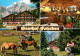 72618240 Hafling Meran Gasthof Restaurant Cafe Falzeben Haflinger Pferde Alpen A - Sonstige & Ohne Zuordnung