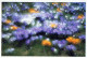 Delcampe - FLOWERS Vintage Ansichtskarte Postkarte CPSM #PBZ284.DE - Fleurs