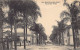 Delcampe - Alger MUSTAPHA BELCOURT - Boulevard Thiers - Ed. Collection Idéale P.S. 165 - Alger