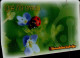 TELECARTE ETRANGERE...COCCINELLE - Ladybugs