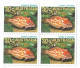 Australia 1984 Olympics,Los Angeles,Tokyo Olympic 2020,Fish Wrasse,Cover To India (**) Inde Indien - Brieven En Documenten
