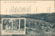 Ansichtskarte Hohwald (Sachsen) Schänke Und Haus 2 Bild 1912 - Hohwald (Sachsen)