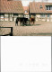 Medingen-Bad Bevensen Klosterhof Medingen Pferde 1996 Privatfoto  - Bad Bevensen