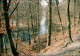 Foto Bad Bevensen Im Wald Am Fluss 1996 Privatfoto  - Bad Bevensen
