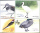 Hong Kong 2000 Illustrated Postcard Set Birds (4 Cards), Unused Postal Stationary, Nature - Birds - Covers & Documents