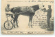 Sports - Hippisme - Supplément à La France Chevaline N°3 1910 - Bouquet Parfait, Bai-brun ... - Sulky - Paardensport
