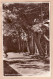 21094 / HERM Haerme Island Avenue To Leading MANOR HOUSE 1930s - Bromide Published Guernsey Press - Herm