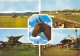 TH-HIPPODROMES PARISIENS-N°622-C/0073 - Horse Show