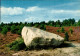 Ansichtskarte Bad Bevensen Stein, Sträucher, Wald 1985 - Bad Bevensen