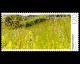 Panorama - Natural Meadows 4-stamps Liechtenstein 2024 - Unused Stamps